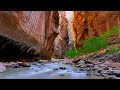 BEST OF ZION NATIONAL PARK | EVERYTHING YOU NEED TO KNOW!