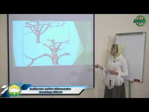 Video: Payız Depressiyası: Mübarizə Metodları