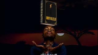 Nomndayi Ukube kuya ngami feat Vocalwise (Visualiser)