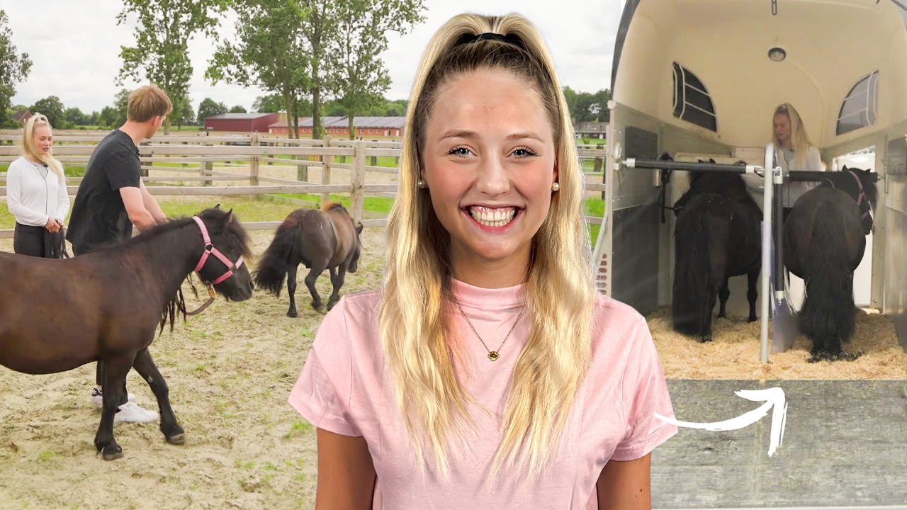 HELLA'S PFERDE ziehen ein!