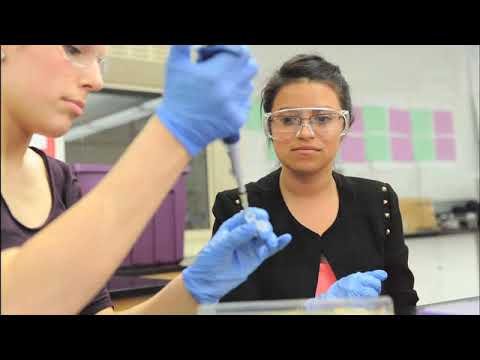 Video: PGLO bakteriyel transformasyon laboratuvarının amacı nedir?