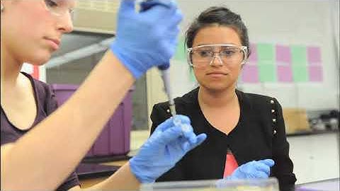 Lab 5 Overview: Transforming Bacteria with the Ligation Products Overview