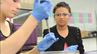 Lab 5 Overview: Transforming Bacteria with the Ligation Products Overview