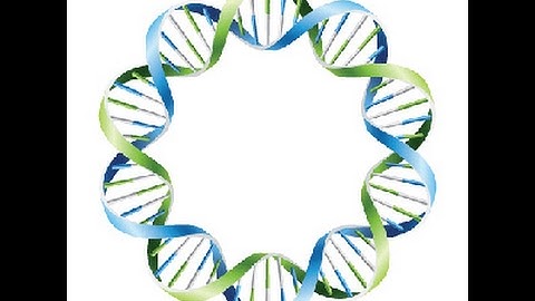 Plasmids Profile Analysis