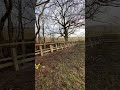 Rural Post and Rail Fencing Installation in Loughborough | Groundzman