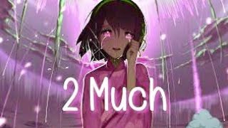 NightCore-2 much Song Lyrics