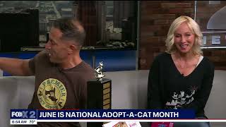 $42,000 Raised for Metro Detroit Cats! | Premier Pet Supply & Feline Fund on Fox 2
