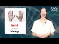 Cảm động rơi nước mắt khi nhìn những chú tê giác bị giết hại để lấy sừng