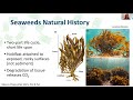 OCB2021 Negative Emissions: Ocean Afforestation