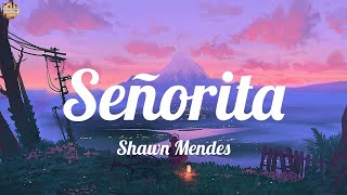 Shawn Mendes - Señorita (Lyrics), Flowers, Infinity, ,..(Lyrics Mix)
