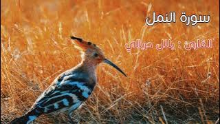 بلال دربالي | سورة النمل