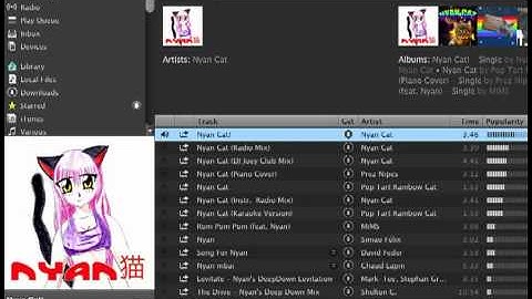 Spotify Nyan Cat easter egg