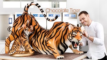 Chocolate Tiger!