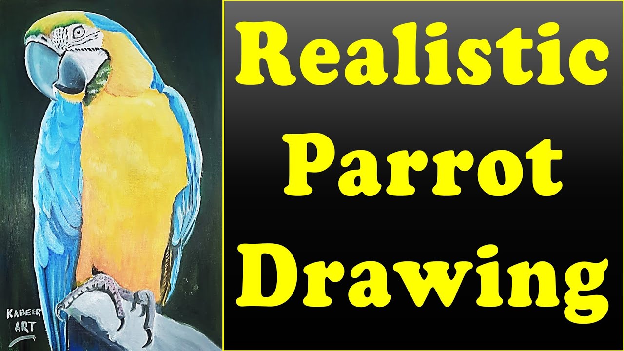 Realistic Parrot sketch | How to draw parrot sketch | Parrot drawing - YouTube