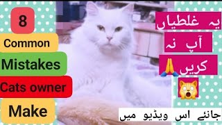 8 common mistakes cat owners make|never do this🙀🐈|Persian cat care for beginner|Persian cat fact
