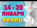 Таро прогноз (гороскоп) с 14 по 20 января – ТЕЛЕЦ