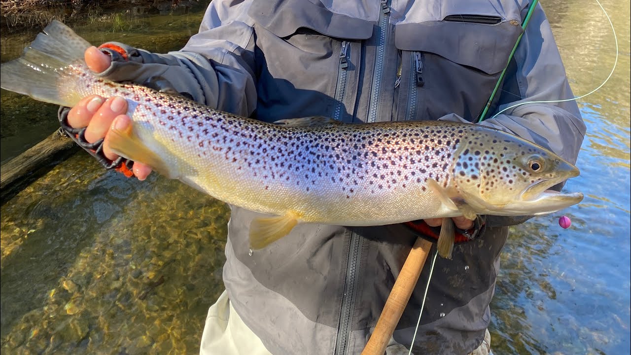 Fly Fishing Near Asheville YouTube