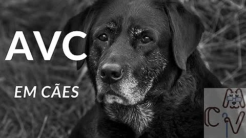 Qual remédio dar para cachorro que teve AVC?