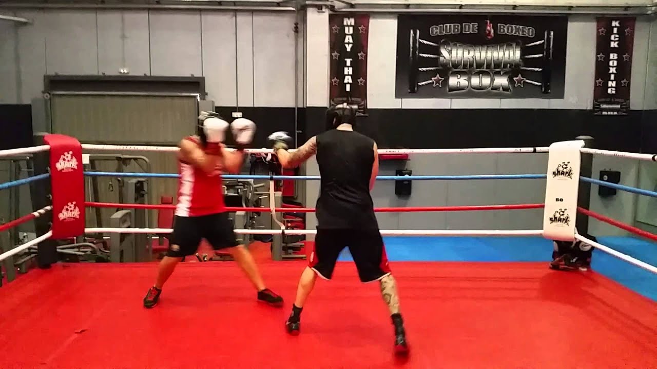 camera iphone 8 plus apk Guantes de el martes 11.11.2014