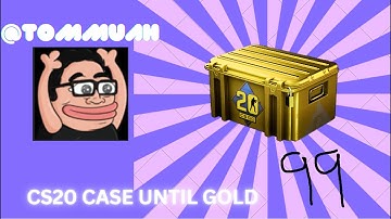 CS20 CASE UNTIL GOLD [Day 99] #csgo #tommuah #gaming #caseopening
