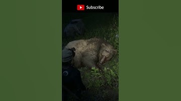 Rockstar Makes You Feel Bad for Playing RDR2