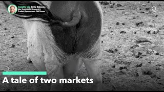 Cattle and Hogs — A Tale of Two Markets