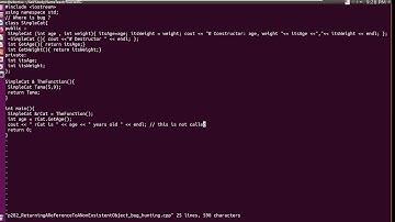 C++ | Returning A Reference to a Nonexistent Object, Segmentation fault core dumped