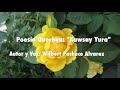 Poesía Quechua: "Kawsay Yura" Autor y Voz: Wilbert Pacheco Alvarez. Cusco