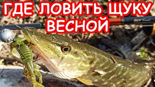 КАК ПОЙМАТЬ ЩУКУ НА МАЛОЙ РЕКЕ. ЛОВЛЯ ЩУКИ НА СПИННИНГ НА ДЖИГ. ПРИМАНКИ И ПРОВОДКИ