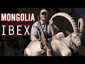 Hunting Trophy Ibex in Mongolia