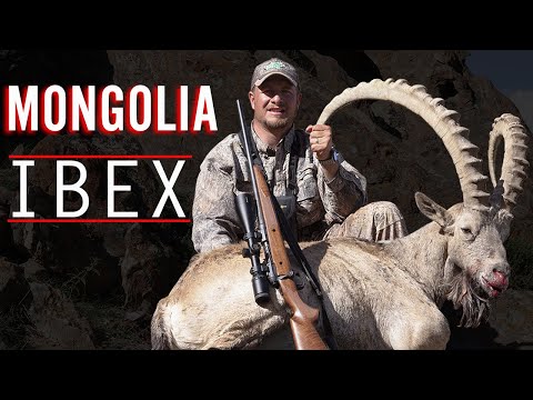 Hunting Ibex in Mongolia - An Eastmans’ Hunting TV Adventure!