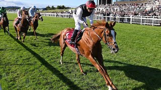 Vidéo de la course PMU COMER GROUP INTERNATIONAL IRISH ST. LEGER