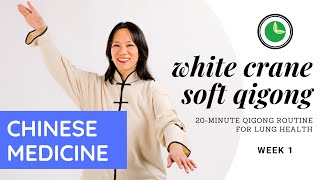 Tue Sep 15, 2020 | Week 1 | 20-minute White Crane Soft Qigong Routine—Lung Health: Chinese Medicine screenshot 3