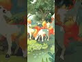Game baru Pokemon TCG, ramenya koleksi kartu pokemon dengan caru baru