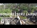 Mountain Biking Bonaire - Seru Largu