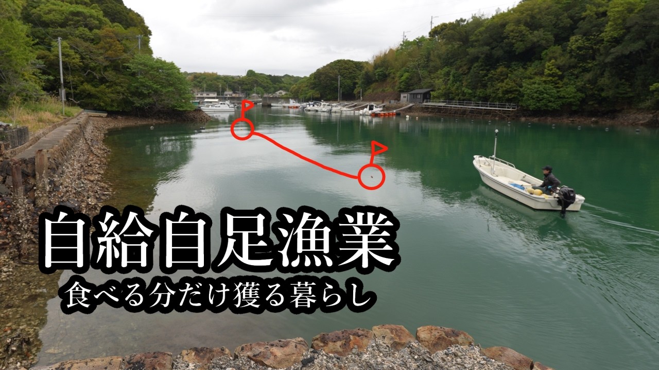 家の前に刺し網を入れると、色んな甲殻類が向こうからやってくる