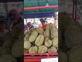 Durians for $4 per kilogram #shorts #trends #trending #streetfood #kingfruit   #fruitking #durian