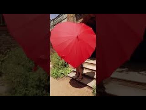 Женский зонт-трость Fulton