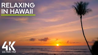 Big Island Sunset Serenity: Crashing Waves &amp; Tropical Birds - Nature Soundscape