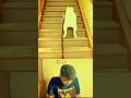 FUNNIEST COMEDY VIDEO😂😂😂|FUNNY REACTION VIDEO🤣🤣🤣#funny#memes#funnyvideo#viral#funnyshorts