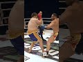 Точка в главном противостоянии года на Emerald Fight 5