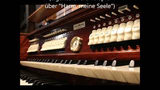 Harre Meine Seele, Harre Des Herrn - Einweihungskonzert Der Voith-Orgel Mannheim Nach Der Großen