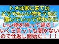 スカッとする話【復讐・因果応報】トメがいらないものをうちに持ってきて置き逃げして良いのだけ勝手に持って帰る。何回注意しても言う事を聞かないのでこれはお仕置きだ!【スカッとオーバーフロー】