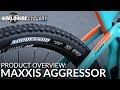 Maxxis Aggressor Overview: Your Next Tire?