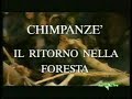 Chimpanzé: il ritorno nella foresta - Il lago Kerkini