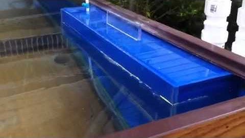 Bean Animal Overflow Test