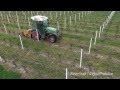 Pré-taille et taille de la vigne suivi du broyage des sarments