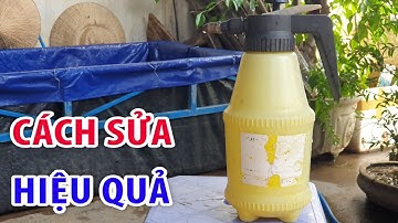 cách sửa bình phun nước