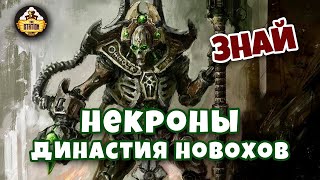 Мультшоу Династия Новохов Некроны Знай Warhammer 40k