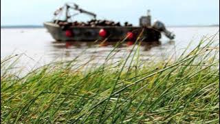 'This Is My Island' ~ Prince Edward Island